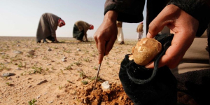 Sedang Mencari Jamur, 10 Warga Suriah Tewas Terkena Ranjau ISIS